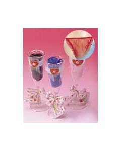 Wine Glas with Underwear