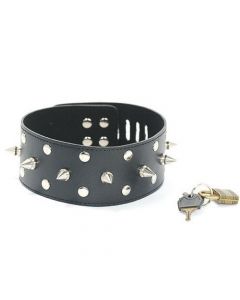 Collar with spikes